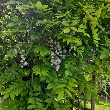 度假居 La Petite Normande *