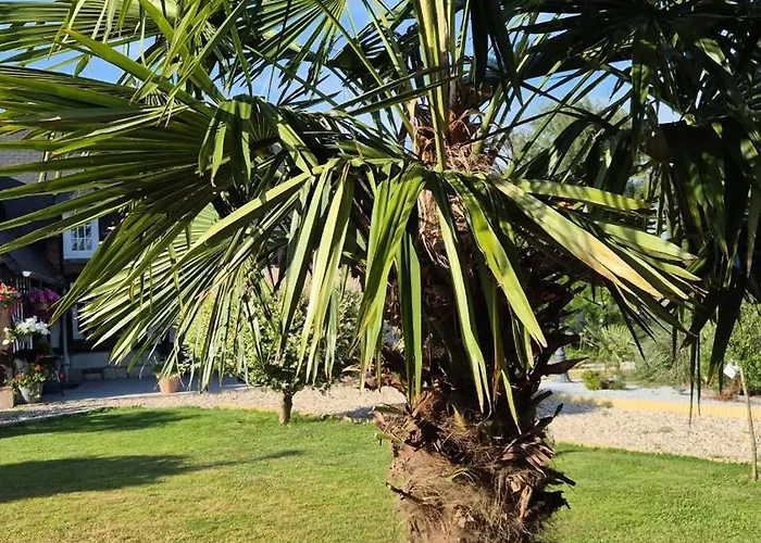 Tatil Evi La Petite Normande Appeville-Annebault
